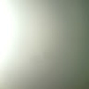 Meet your Posher, Jaclyn